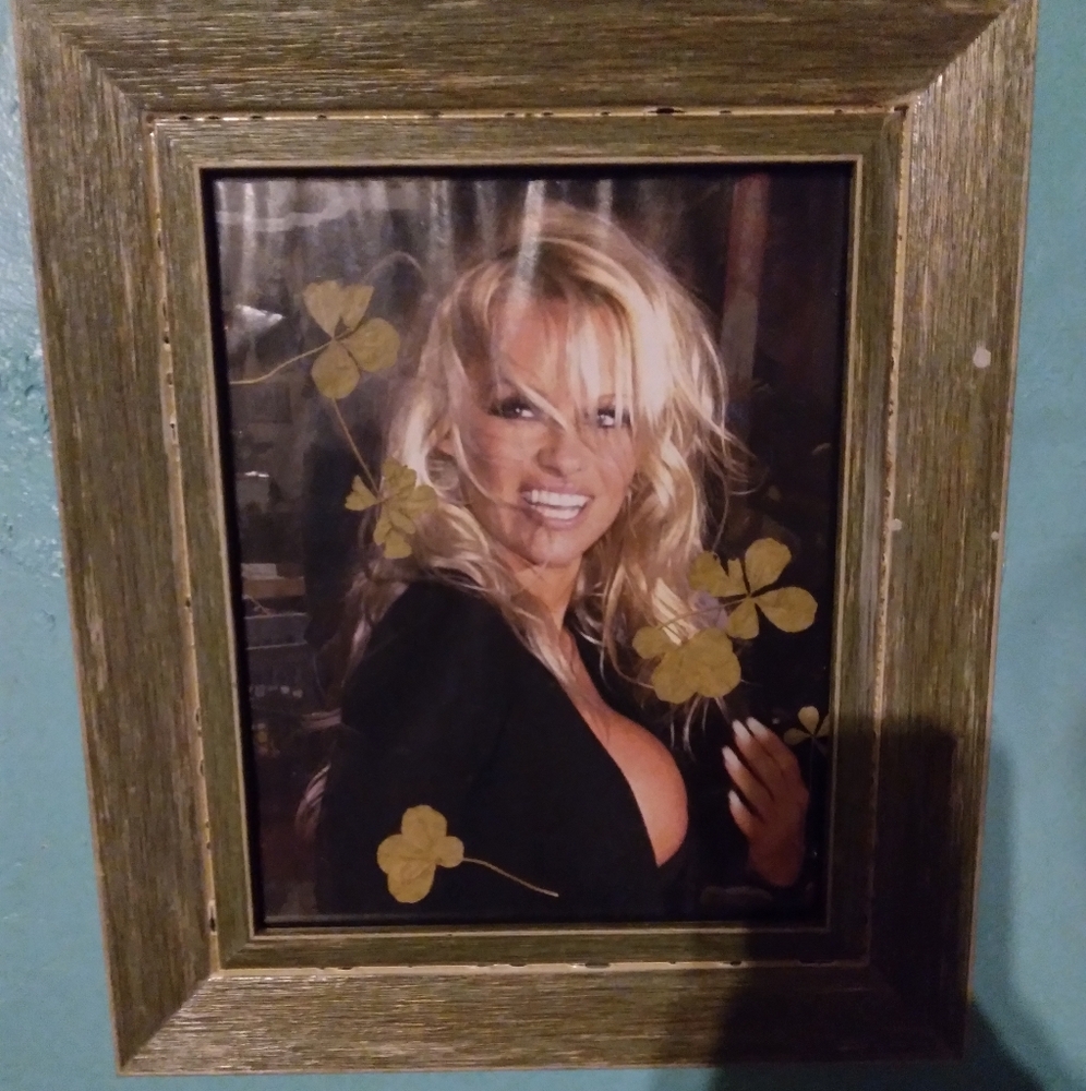 DIY Pamela Anderson Wall Art I created